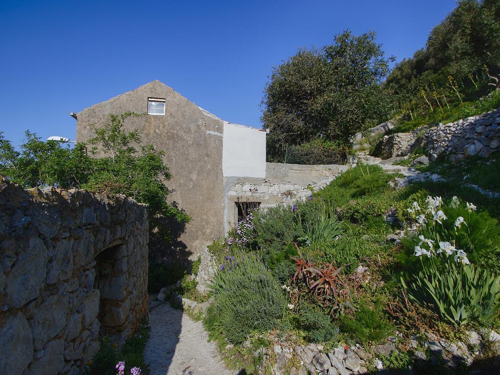Cacini Dvori Apartment Lastovo