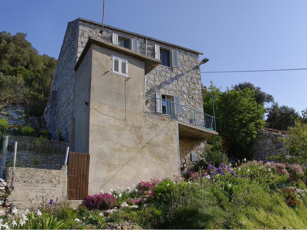 Apartment Cacini Dvori