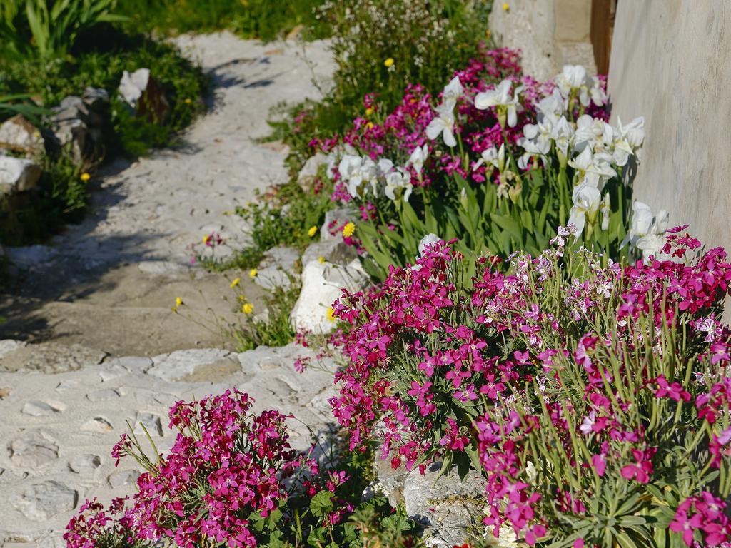 Cacini Dvori Apartment